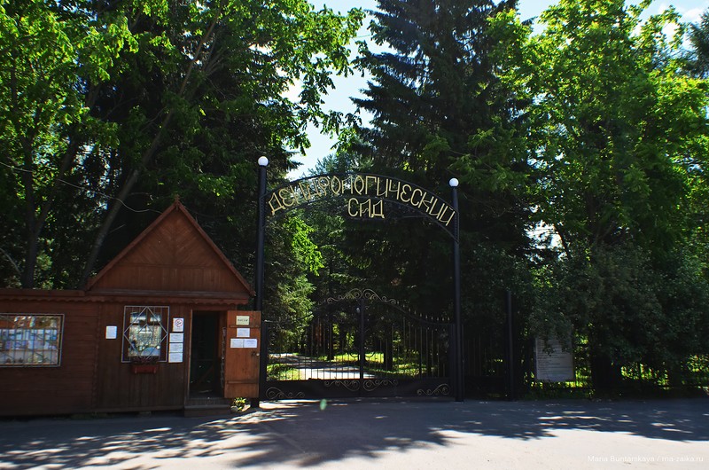 Переславский дендрологический сад